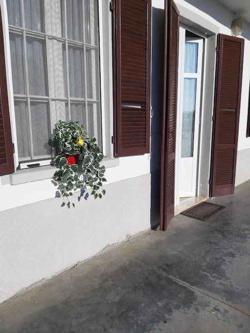 Casa Bruna San Martino Alfieri Esterno foto